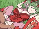  1boy 1girl areola areola_slip areolae areolae_slip breasts chiki cross_section cum cum_inside erect_nipples fire_emblem fire_emblem:_kakusei grass green_hair large_breasts lying nintendo nipple_slip nipples outdoors panties panties_aside penis pointy_ears sex sleep_molestation sleeping tagme thighhighs 