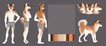  anthro canine clothed clothing corgi dog feral fur hair looking_at_viewer male mammal model_sheet solo standing topless underwear zumjakal 