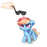 2016 absurd_res duo equine eyewear feathered_wings feathers female feral friendship_is_magic hair hi_res holding_object hooves inowiseei mammal multicolored_hair my_little_pony pegasus rainbow_dash_(mlp) rainbow_hair simple_background solo_focus sunglasses white_background wings 
