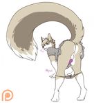  &lt;3 animal_genitalia animal_penis anthro anus backsack balls canine canine_penis clothed clothing crossdressing erection girly knot looking_at_viewer male mammal osiris_henschel panties panties_down penis redpixie solo thick_thighs underwear 