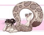  anthro big_breasts breasts eyewear feline female glasses leopard lying mammal nude on_front overweight redpixie smile snow_leopard solo 
