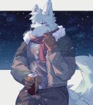  anthro canine clothed clothing digital_media_(artwork) fur hi_res male mammal sadonghao solo winter 