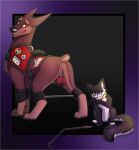 2023 ambiguous_gender anus ball_spanking ballbusting balls bdsm black_body black_fur blush bondage bound broken_sex_toy brown_body brown_fur butt canid canine canis chastity_cage chastity_device cock_and_ball_torture countershading dewclaw digital_media_(artwork) dobermann domestic_cat domestic_dog duo eyewear feet felid feline felis feral foot_fetish foot_lick foot_play fur genital_torture genitals glasses hi_res innana_(character) licking male mammal masochism metal_chastity_cage one_eye_closed pain pinscher presenting_balls reddened_scrotum remi_(character) restraints riding_crop service_dog_harness size_difference small_dom_big_sub spreader_bar straps submissive submissive_male tan_body tan_countershading tongue whip white_body white_countershading white_fur yiffy1234