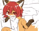  fox furry ohakotome open_mouth red_eyes red_hair short_hair 
