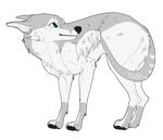  alpha_channel ambiguous_gender canine feral fur mammal plgdd simple_background smile solo standing transparent_background 