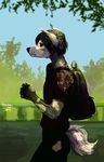  anthro backpack canine clothed clothing fur hair male mammal outside plgdd solo standing 