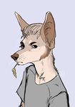  anthro canine clothed clothing fur hair looking_at_viewer male mammal plgdd simple_background sketch solo 