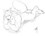  anthro butt canine ginnosuke looking_at_viewer male mammal monochrome muscular nude simple_background solo white_background 