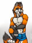  black_fur blue_eyes boxer_briefs bulge canine clothed clothing fohawk fox fur looking_at_viewer male mammal orange_fur pinup pose red_fox saerro simple_background smile solo topless tsaiwolf underwear white_fur 