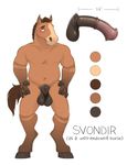  animal_genitalia balls blush color_swatch disembodied_penis english_text equine erection flared_penis full-length_portrait fully_sheathed hands_on_hips hooves horse lock-wolf male mammal medial_ring model_sheet penis portrait sheath solo svondir text 