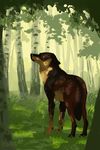  ambiguous_gender canine feral forest fur mammal outside plgdd solo standing tree 