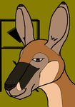  kangaroo logo male mammal marsupial pixel rabin 