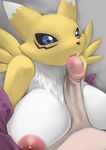  2017 80kiss anthro areola big_breasts breasts bridal_gauntlets canine clothing digimon duo erection fellatio female fox fur human interspecies licking looking_down male male/female mammal neck_tuft nipples nude oral pawtsun penic_lick penis renamon retacted_foreskin sex simple_background solo_focus titfuck tongue tongue_out tuft uncut 