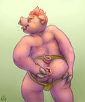  anthro anus butt_squish clothed clothing facial_piercing hairy jockstrap looking_back male mammal nose_piercing overweight overweight_male perineum piercing pig porcine presenting presenting_anus puggy rear_view septum_piercing signature solo spread_anus spreading topless tusks underwear 