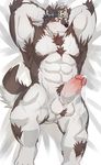  canine clothing erection horkeukamui loincloth male mammal penis solo tokyo_afterschool_summoners wolf 