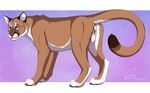  2017 anus brown_fur cougar countershading feline female feral fur looking_back mammal purple_eyes pussy santanni solo whiskers white_fur 