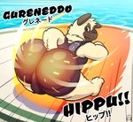  anthro bulge butt canine dog keijo male mammal puggy solo 