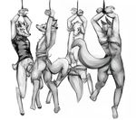  balls bottomless butt canine cervine clothed clothing dangling deer erection front_view greyscale hooves lawyerdog looking_down mammal monochrome pants_down partially_clothed penis rear_view suspension 
