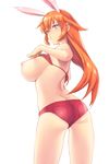  :o animal_ears ass bad_id bad_pixiv_id blue_eyes bra bra_lift breasts bunny_ears charlotte_e_yeager flat_ass from_behind huge_breasts kaida_bola lingerie long_hair looking_back nipples orange_hair short_shorts shorts sidelocks simple_background solo strike_witches underwear white_background world_witches_series 