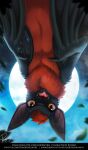 ambiguous_gender anthro bat front_view fur glistening glistening_eyes grey_body hair kofi_bat looking_at_viewer male_(lore) mammal moon nude open_mouth orange_eyes outside penguinexperience pink_tongue red_body red_fur red_hair short_hair signature solo tongue tongue_out upside_down
