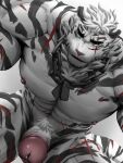 3:4 abs absurd_res anthro arknights erection felid gao_xio genitals hi_res hypergryph male male/male mammal mountain_(arknights) muscular muscular_anthro muscular_male nipples nude pantherine pecs penis scar solo stripes studio_montagne tiger