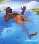 bear belly body_hair feet genitals hi_res male mammal musclegut muscular nature nipples open_mouth paws penis swimming water
