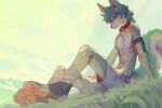 anthro blue_body blue_fur blue_hair canid carbonizedaki cheek_tuft clothed clothing collar facial_tuft fur grass hair inner_ear_fluff male mammal mouth_closed outside plant red_collar red_eyes short_hair sitting solo topless tuft white_body white_fur white_inner_ear_fluff