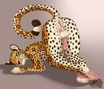  anthro balls butt ekbellatrix feline jaguar male mammal penis solo tuaolo 