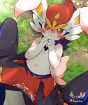  absurd_res anthro bodily_fluids breasts cinderace cum cum_from_vagina cum_in_vagina cum_inside duo facing_forward female feral from_front_position generation_8_pokemon genital_fluids genitals grass heart_symbol hi_res inteleon lying male male/female missionary_position nintendo on_back outside outside_sex penis plant pokemon pokemon_(species) prrrrrrmine sex 