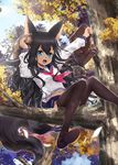  animal_humanoid black_hair blue_eyes canine clothed clothing cute_fangs fangs female footwear fox fox_humanoid fox_tail hair hi_res humanoid legwear long_hair looking_at_viewer mammal midriff open_mouth school_bag school_uniform shoes sitting solo thigh_highs tree uniform wait_(artist) 