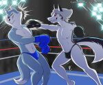 anthro boxing boxing_gloves breasts bulge canid canid_demon canine canis clothed clothing crossgender demon denlusty digital_media_(artwork) duo eyes_closed face_punch femboy fight fighting_ring ftm_crossgender fur hair handwear hellaverse hellhound helluva_boss hi_res illumination_entertainment loona_(helluva_boss) male mammal mythological_canine mythological_creature mythology nipples open_mouth pecs porsha_crystal punch red_sclera sing_(movie) smile sport tail teeth thong thong_only topless topless_anthro topless_male underwear underwear_only white_body white_fur wolf