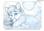  2017 anthro canine fox grass kashmere looking_at_viewer lying male mammal smile solo 