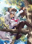  animal_humanoid canine clothed clothing cute_fangs fangs female footwear fox fox_humanoid fox_tail hair hi_res humanoid legwear long_hair looking_at_viewer mammal midriff open_mouth orange_eyes school_bag school_uniform shoes sitting solo thigh_highs tree uniform wait_(artist) white_hair 