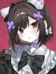  1girl absurdres aegyo_sal animal_ear_fluff animal_ear_hairband animal_ears bandaid bandaid_on_cheek bandaid_on_face bare_shoulders black_bow black_bowtie black_hairband black_shirt blush bob_cut bow bow_hairband bowtie braid brown_eyes brown_hair buttons cat_ear_hairband cat_ears cat_loving_(cevio) clothing_cutout collar collared_shirt commentary_request dot_nose fake_animal_ears frilled_shirt_collar frills from_above hair_between_eyes hair_bow hair_ornament hairband head_tilt heart heart-shaped_pupils highres looking_at_viewer pale_skin parted_lips pearl_hair_ornament project_sekai purple_collar raised_inner_eyebrows red_background shinonome_ena shirt short_hair shoulder_cutout shoulder_tattoo side_braid sidelocks simple_background single_braid sleeve_bow solo swept_bangs symbol-shaped_pupils tattoo tearing_up upper_body user_xzde2534 white_bow x_hair_ornament 