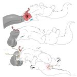 2025 abdominal_bulge balls blue_eyes blush bodily_fluids breath cum cum_from_mouth cum_from_vagina cum_in_mouth cum_in_vagina cum_inflation cum_inside cum_overflow deep_throat digital_drawing_(artwork) digital_media_(artwork) digitigrade disembodied_penis duo ejaculation fellatio female female_feral female_focus female_penetrated feral forked_tongue fur genital_fluids genitals grey_penis gulp_(sound_effect) hi_res humanoid_genitalia humanoid_penis hybrid inflation lying male male/female mouth_shot narrowed_eyes neck_bulge on_back onomatopoeia open_mouth oral oral_penetration penetration penile penis raised_leg reptile scalie sequence sex sharp_teeth simple_background size_difference snake snazzle_snapp sound_effects teeth text tongue tongue_out white_background white_body white_fur