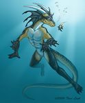  2006 fish male marine solo tina_leyk underwater water 
