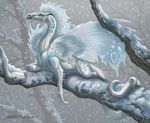  2006 dragon scalie snow solo tina_leyk 