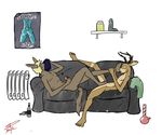  alcohol antlers apartment beverage bong brown_fur canine cervine deer dog drugs feet foot_fetish foot_lick fur horn kangaroo licking male male/male mammal marsupial musk nikita-the-stag nikita_rossow nude paws penis sex simple_background small_penis sniffing sofa tongue tongue_out white_background 