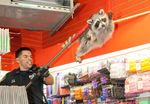  human i_believe_i_can_fly male mammal meme police raccoon real 