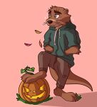 2021 3_toes anthro atmac atmac_(character) blush blush_lines bottomwear brown_body brown_fur brown_nose clothing digital_drawing_(artwork) digital_media_(artwork) digitigrade feet food fruit fur green_eyes hi_res hoodie inner_ear_fluff leaf male mammal mustelid otter pants pink_background plant pumpkin river_otter simple_background solo tan_inner_ear_fluff teeth toes topwear tuft whisker_spots whiskers white_sclera