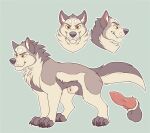 animal_genitalia animal_penis balls big_penis canid canine canine_genitalia canine_penis canis dire_wolf feral fitcher_(kabscorner) genitals jasonafex kabscorner male mammal model_sheet nude orange_eyes paws penis prehistoric_species solo wanted_poster