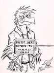  2017 anthro avian beak belt bird clothed clothing corvid crossed_arms crow english_text feathered_wings feathers front_view half-closed_eyes half-length_portrait ink_stains jacket looking_at_viewer male monochrome mugshot portrait scar simple_background smile smirk solo tail_feathers text traditional_media_(artwork) white_background wings 