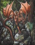  2004 dragon feral forest solo tina_leyk tree wings 