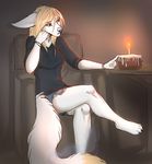  anthro cake candle canine clothed clothing dafka female food fur hair mammal sitting sketch solo tattoo 