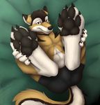  abs anthro bulge canine catwolf clothed clothing foot_focus fur looking_at_viewer male mammal smile solo staggard tongue tongue_out topless 