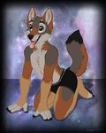  anthro boxers_(clothing) canine clothing coyote etuix mammal ochropus tailwag tongue underwear 