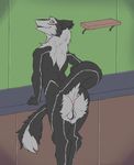  2017 anthro anus backsack balls black_fur butt fur grey_fur half-closed_eyes inside looking_at_viewer looking_back male nude presenting presenting_hindquarters raised_tail rear_view red_eyes sergal smile solo winteranswer 