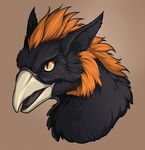  2016 avian beak black_eyes black_feathers brown_background brown_sclera digital_media_(artwork) ezekiel_gryphon feathers feral gryphon hair headshot_portrait hi_res male mohawk open_mouth orange_hair portrait simple_background slit_pupils solo tongue victoriadaedra 