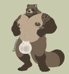 2026 anthro areola asian_clothing barazoku beard belly biceps big_bulge big_muscles bulge canid canine claws clothed clothing clothing_pull east_asian_clothing facial_hair fundoshi fundoshi_only fundoshi_pull fur hi_res huge_bulge huge_muscles japanese_clothing leaf leaf_in_mouth looking_at_viewer male mammal mature_anthro mature_male melancholiclion musclegut muscular muscular_anthro muscular_male navel nipples overweight overweight_anthro overweight_male pecs raccoon_dog signature simple_background solo standing tan_background tanuki tattoo thick_arms thick_thighs topless tuft underwear underwear_only underwear_pull ushitaro_(melancholiclion)