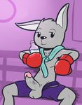  2017 anthro blush boxing_gloves circumcised clothed clothing erection felino front_view humanoid_penis lagomorph looking_at_viewer male mammal open_pants penis rabbit reclining shorts signature solo spread_legs spreading sweat topless vein veiny_penis water_bottle 